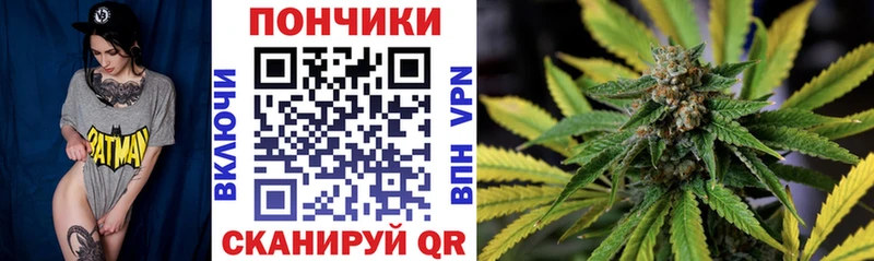 Бошки Шишки OG Kush Бобров